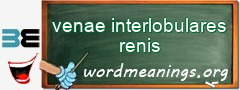 WordMeaning blackboard for venae interlobulares renis